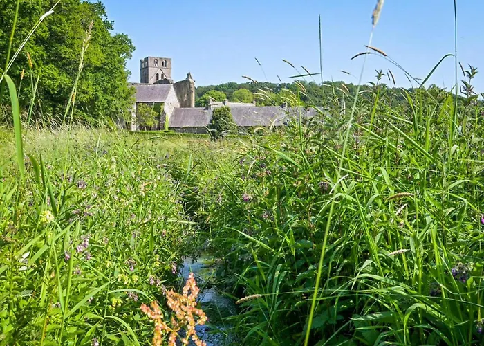 Le Chevalier Gavray-sur-Sienne